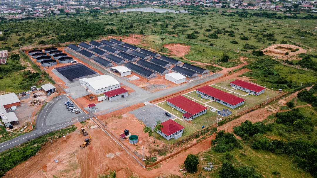 National Aquaculture Centre and Commercial Farms at Amrahia