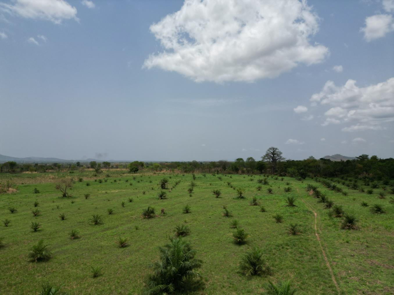 Ghana Productive Safety Net Project at Have Technical Institute