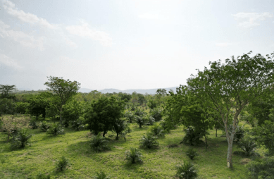 Ghana Productive Safety Net Project