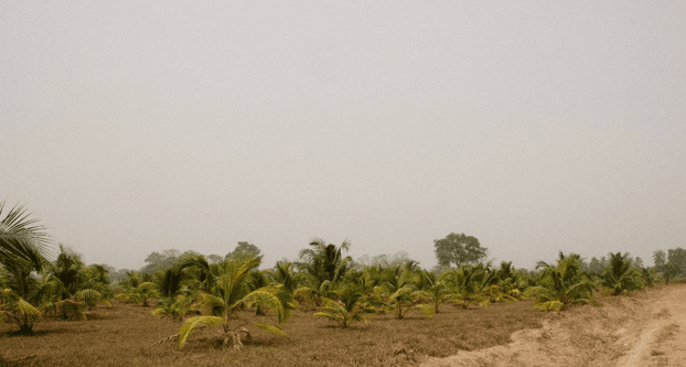Ghana Productive Safety Net Project