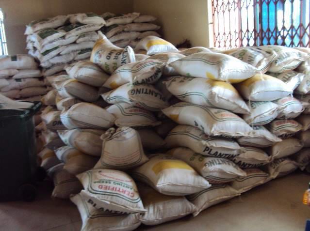 Supply of Improved Seeds and 2,194 Fertilizers to Farmers of Akrofuom District Under PFJ