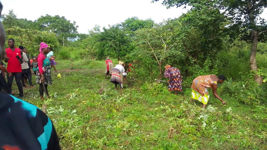 Rehabilitation of 10Ha Degraded Communal Land Using Cashew Trees at Kabrono