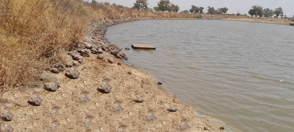 Ghana Productive Safety Net Project at Narango