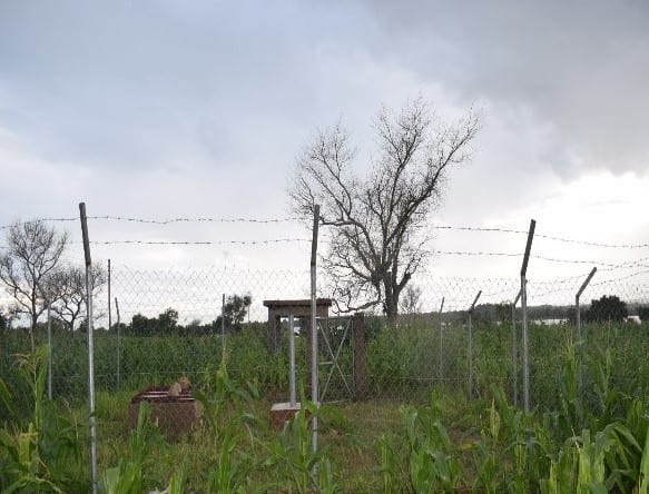 Construction of Mechanized Solar Powered Water System at Gowrie Kunkua