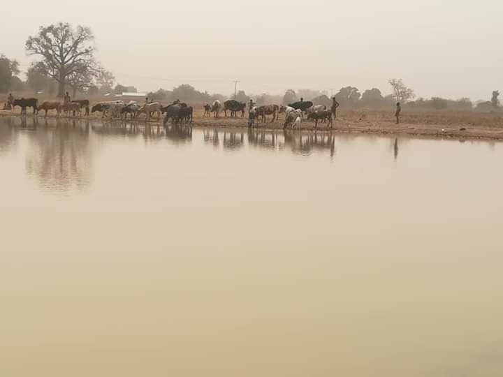 Construction of Small Earth Dam at Naadema-Luisa