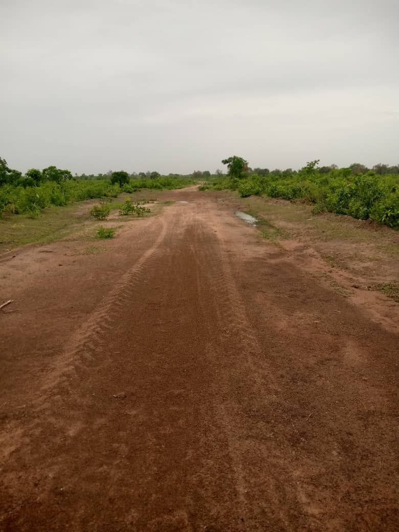 Reshaping of Kusawgu-Kadigbanto Feeder Road ( 3.5km )