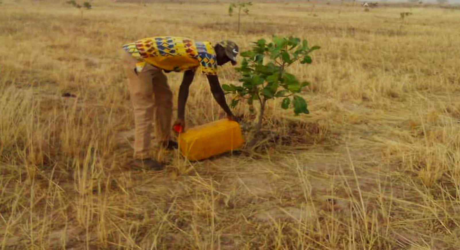 Ghana Productive Safety Net Project at Nansoni