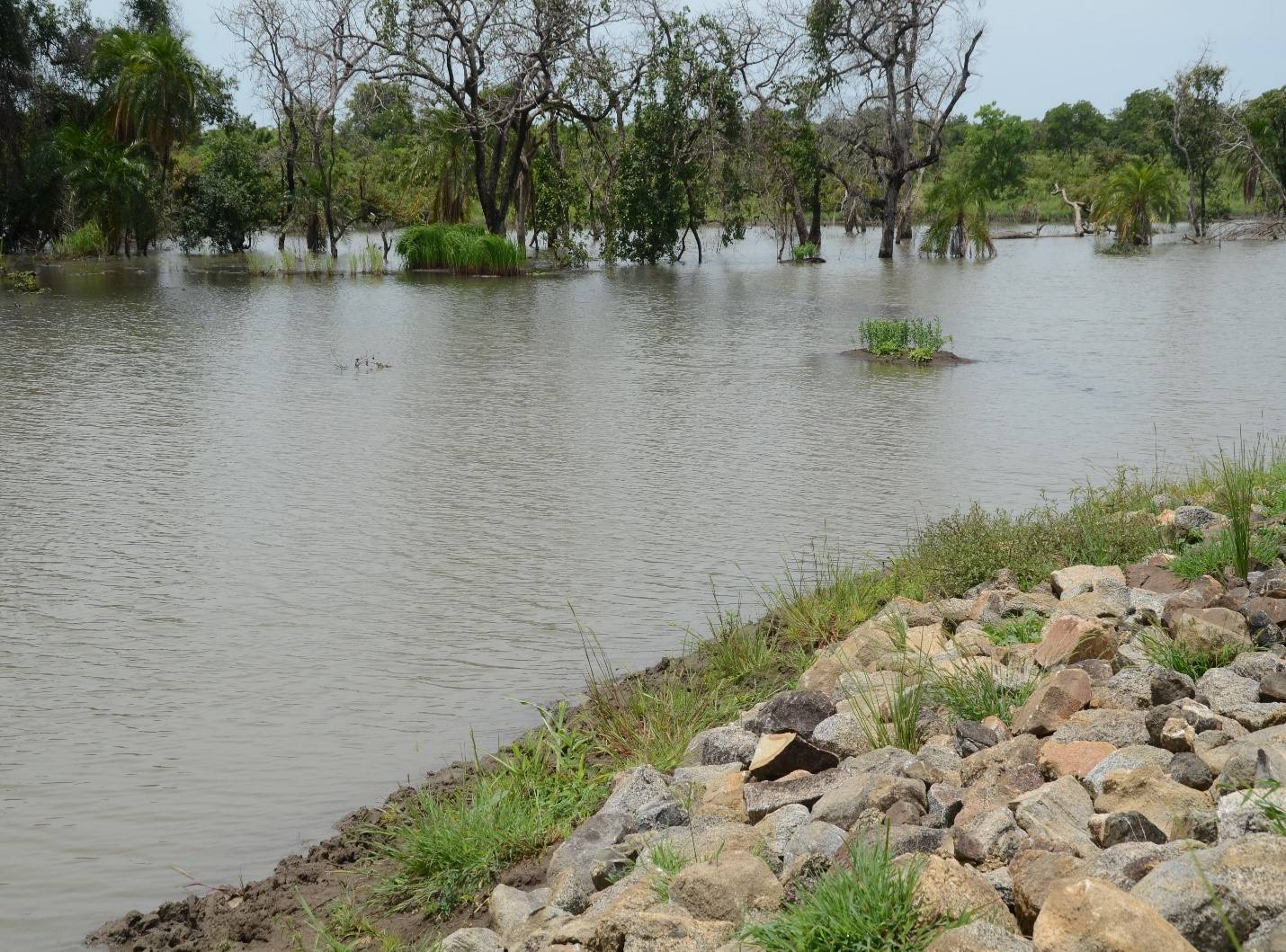 Construction of dam at Duang
