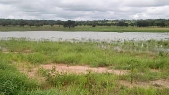 Construction of Small Earth Dam (1V1D) at Wundua