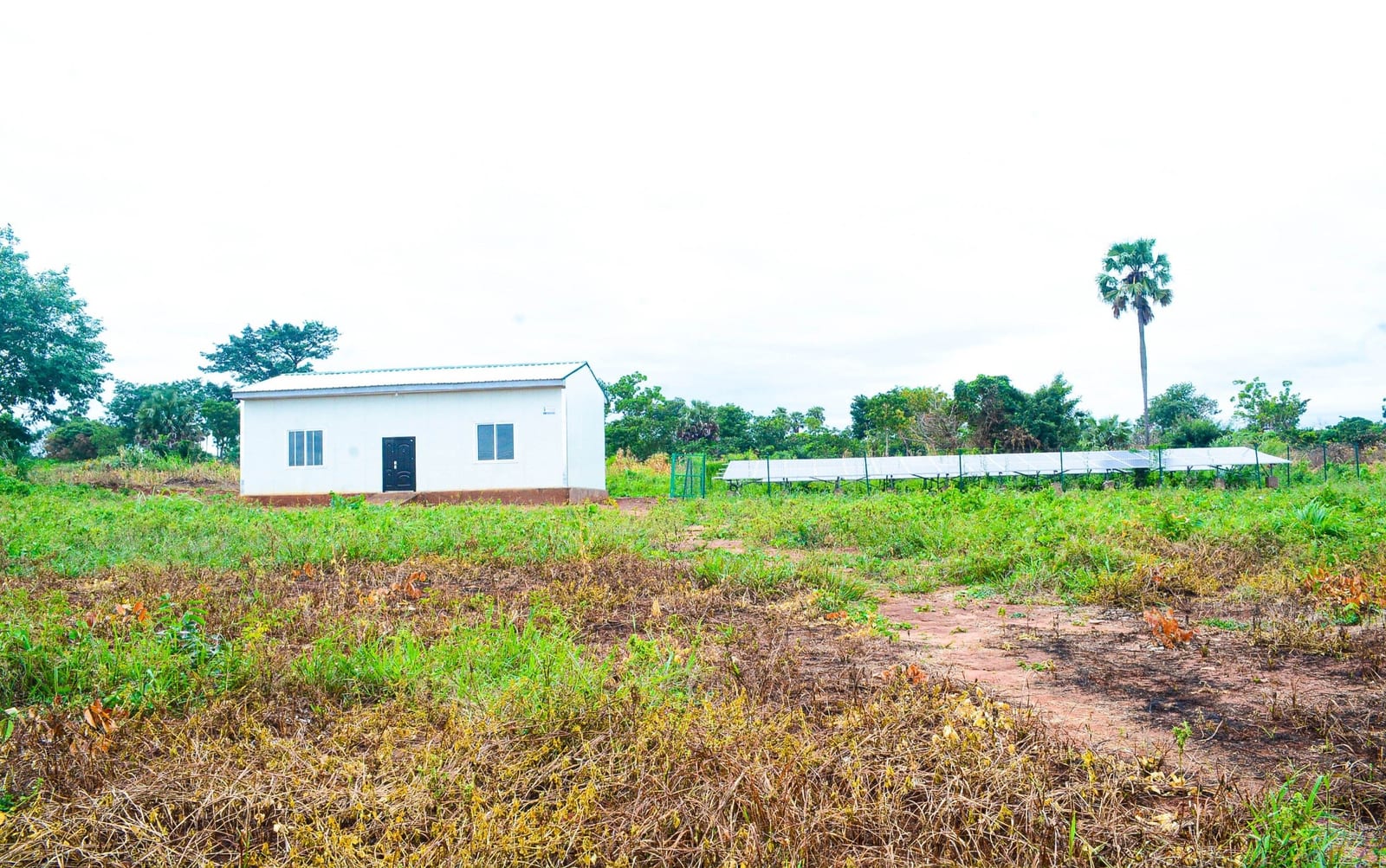 Construction of 1No. Mini Grain Processing Factory at Sekyedumase