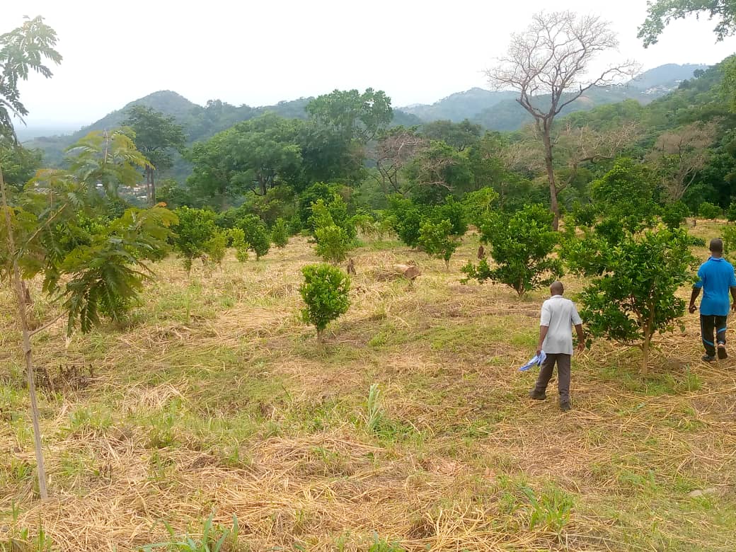 Ghana Productive Safety Net Project