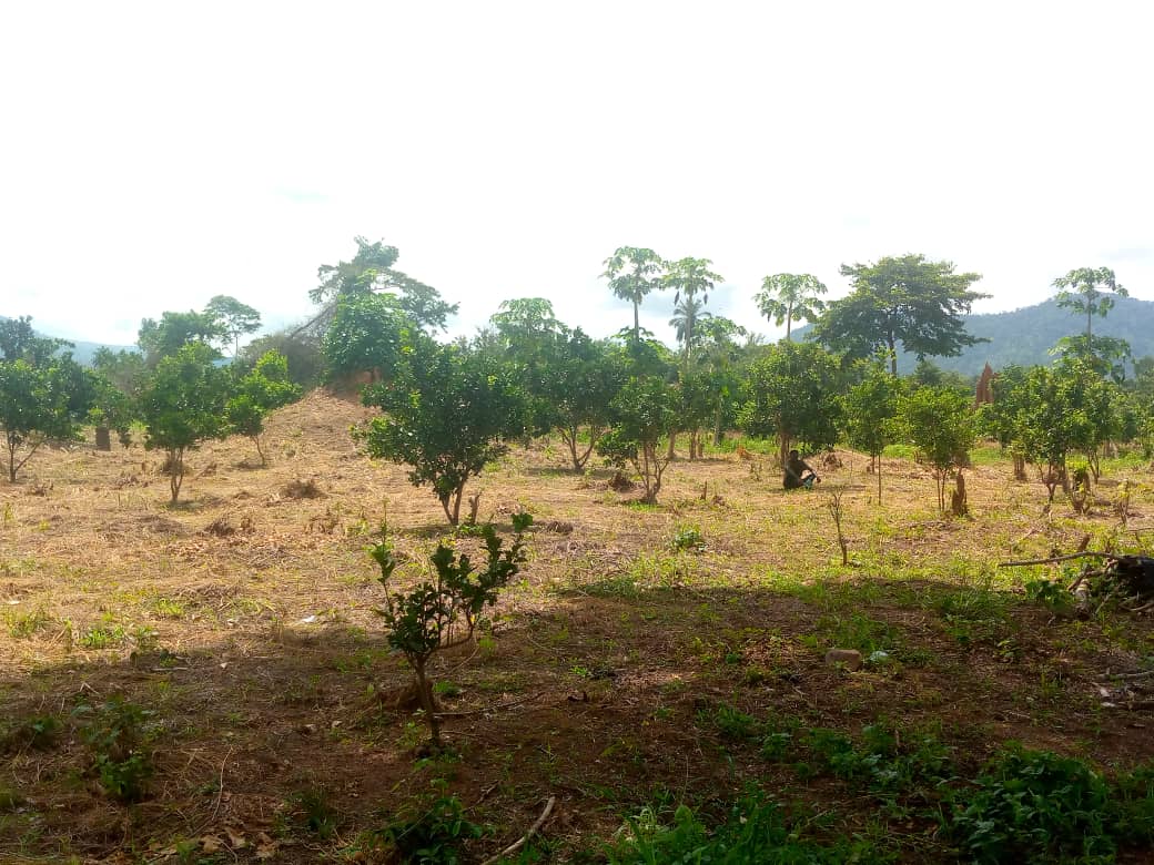 Ghana Productive Safety Net Project