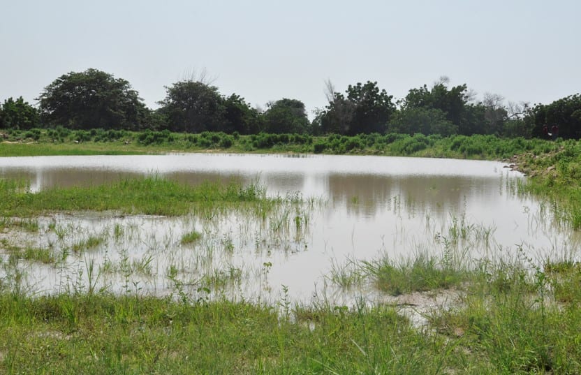 Construction of Small Earth Dam at Kalivio Guguro