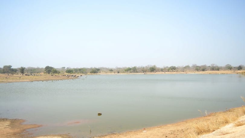 Construction of Small Earth Dam at Kuliya