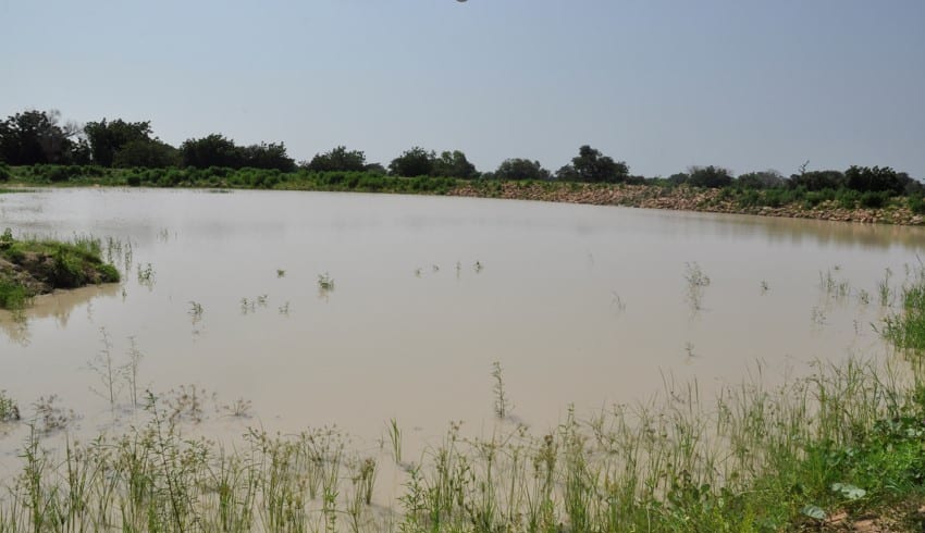 Small Earth Dam at Nabango