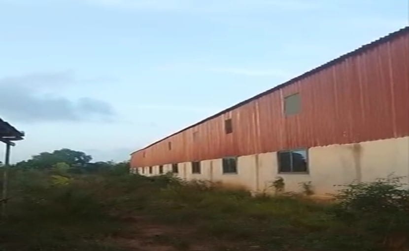 Construction of Integrated Cassava Processing Factory at Dorveme