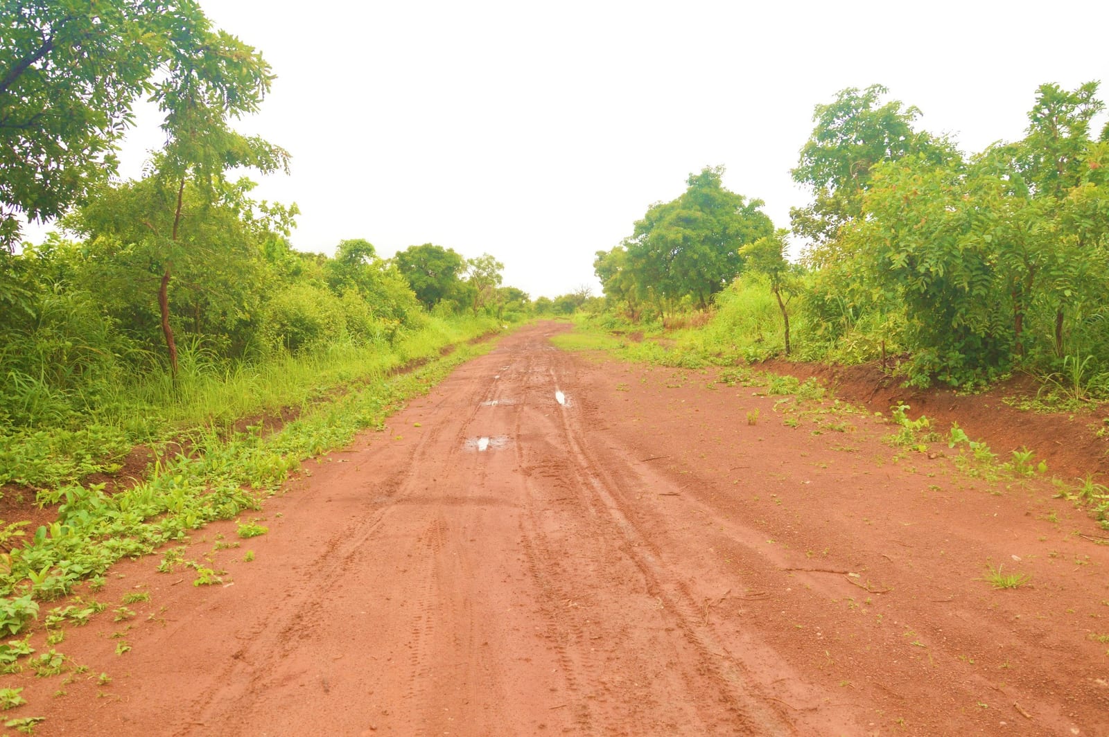 Ghana Productive Safety Net Project