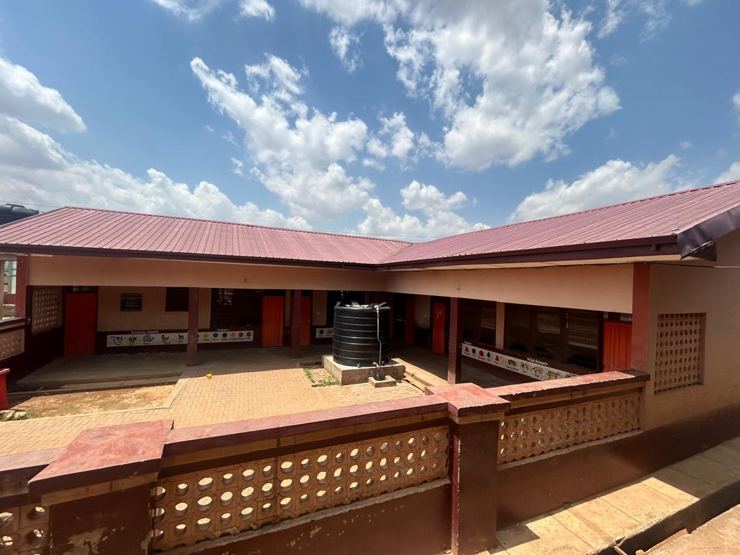 Basic School Project at St Augustine’s school