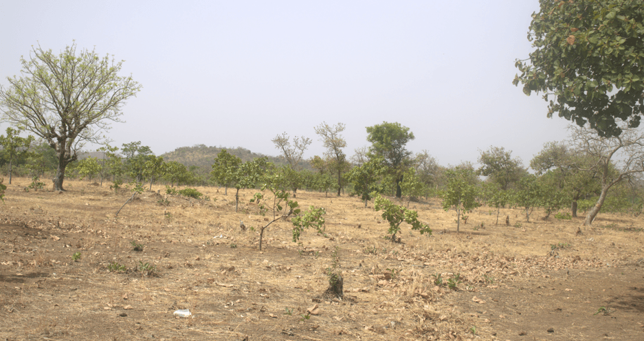 Ghana Productive Safety Net Project
