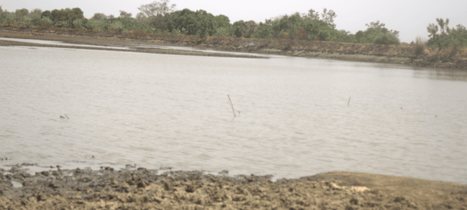 Construction of Small Earth Dam (1V1D) at Kohuo
