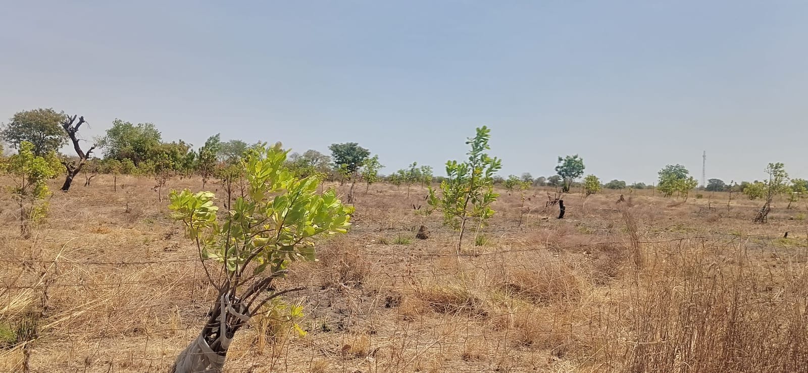 Ghana Productive Safety Net Project at Kubugu