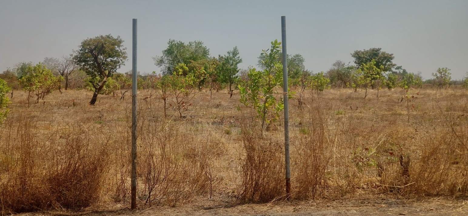 Ghana Productive Safety Net Project at Loagri