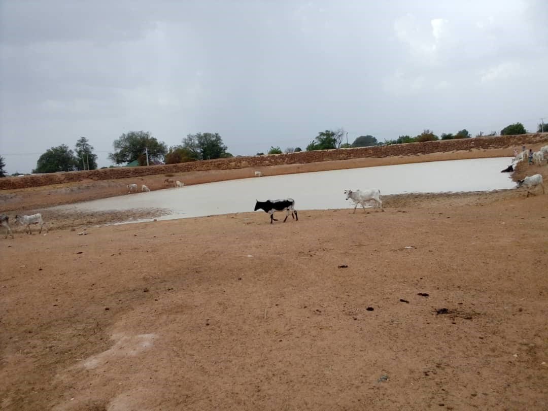 Construction of Small Earth Dam (1V1D) at Kunkua