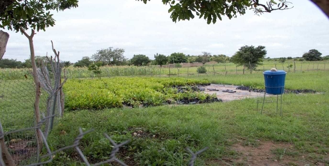 Ghana Productive Safety Net Project at Dasabligo