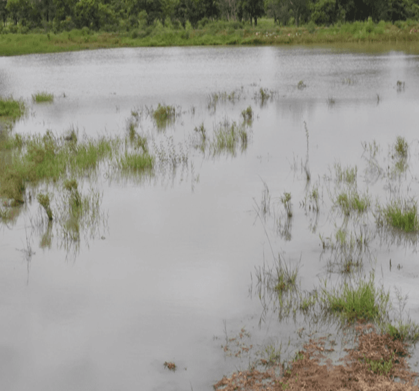 Construction of Small Earth Dam (1V1D) at Janguasi