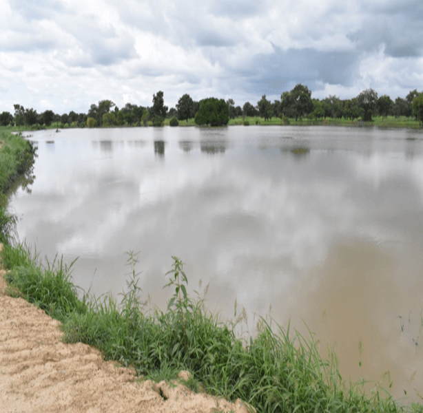 Construction of Small Earth Dam (1V1D) at Kuri
