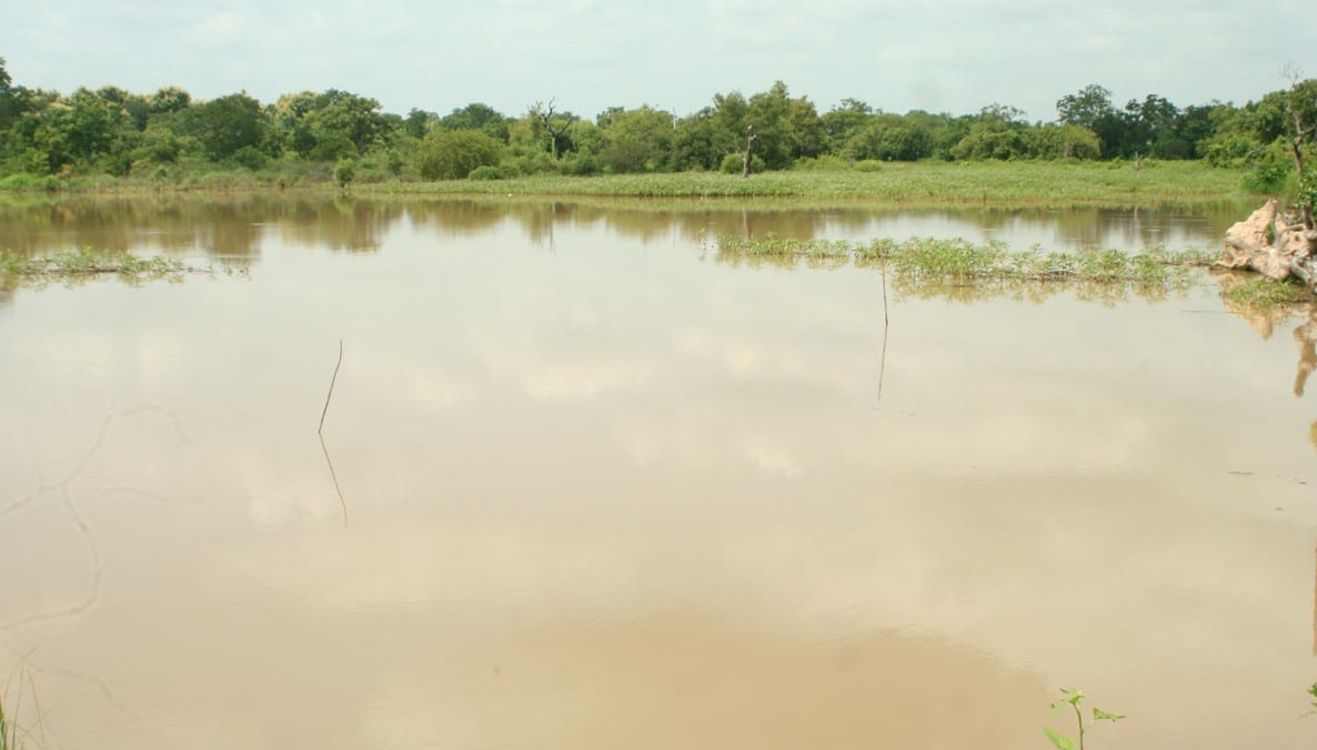 Construction of One Village One Dam at Dipah