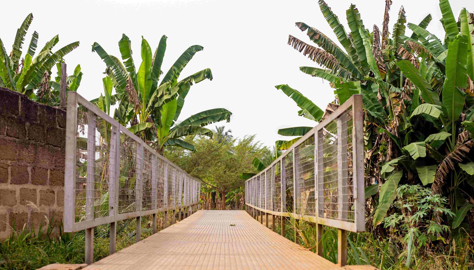 Construction of Metal Footbridge on Okome River at Asokore/Effiduase