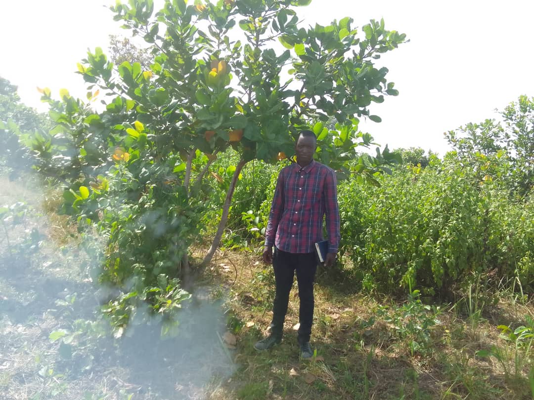 Ghana Productive Safety Net Project