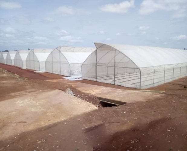 Construction of Greenhouse Village at Akumadan