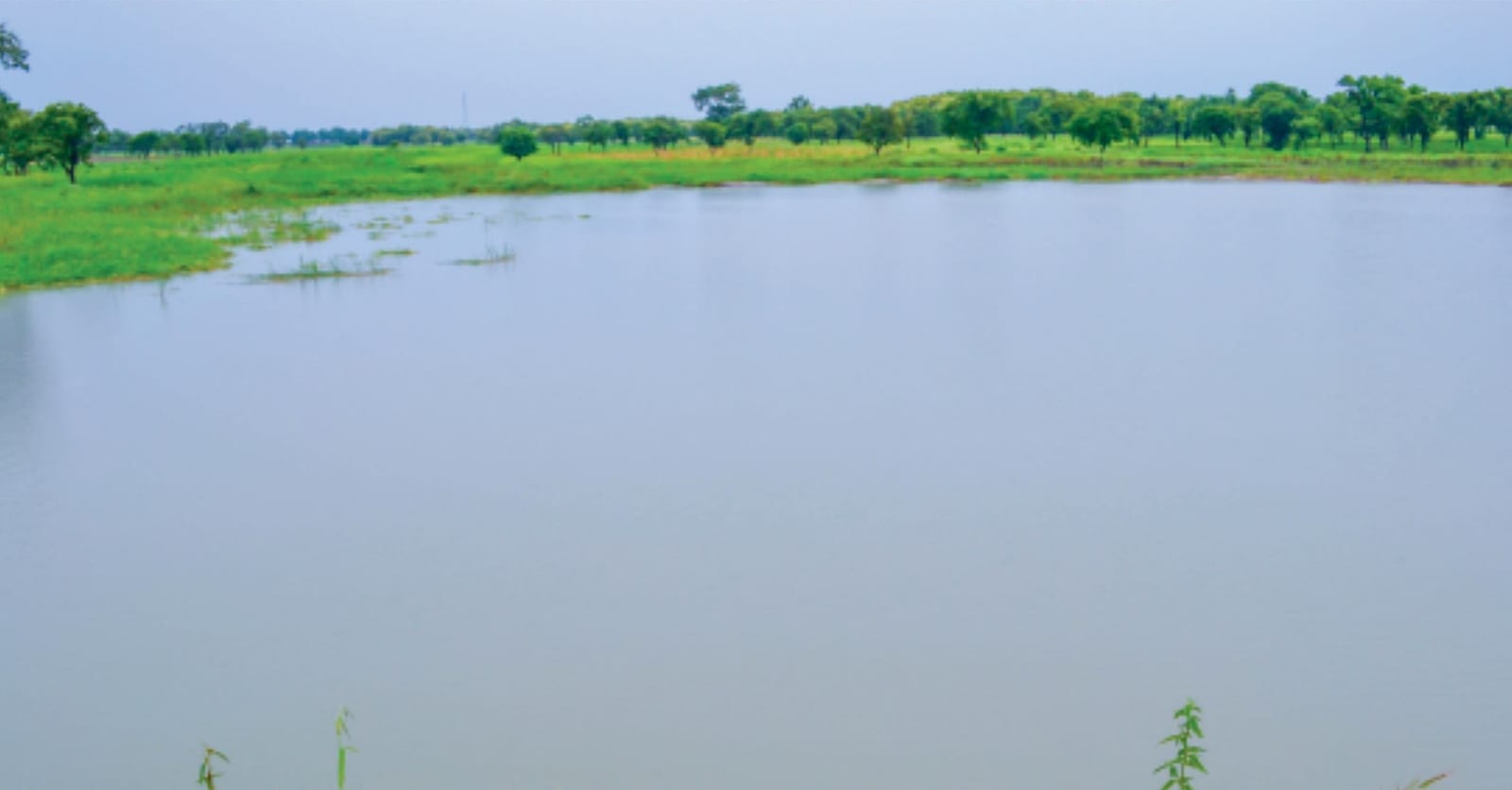 Construction of 1V1D at Chahayili