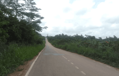 Upgrading and Bitumen Surfacing of Wassa Akropong-Saamang-Adansi Feeder Road Phase I and II