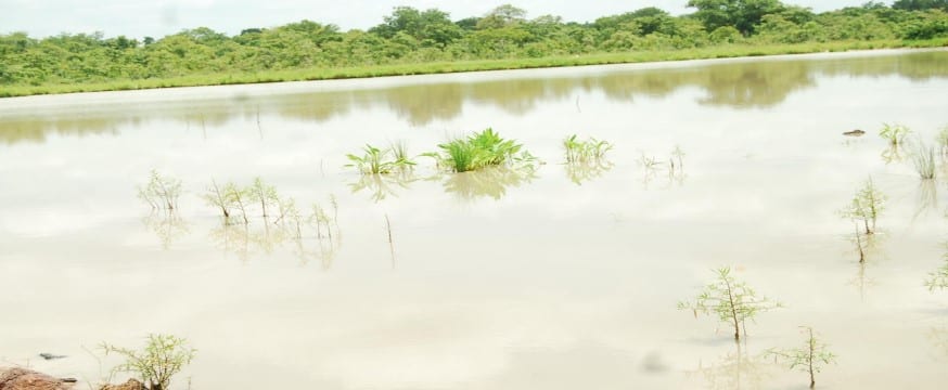 Small Earth Dams (1V1D) at Sunsong, Adibo,Bunbong,Kanudo, Kpalgigbini,Kushegu,Nagani,Zang, Nakpachei